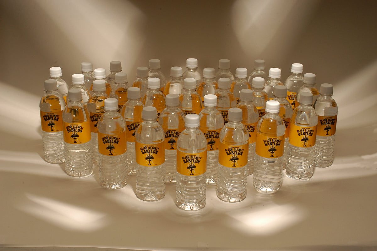 Custom Printed PET Bottled Spring Water (16.9oz) – Premier Label Water ...